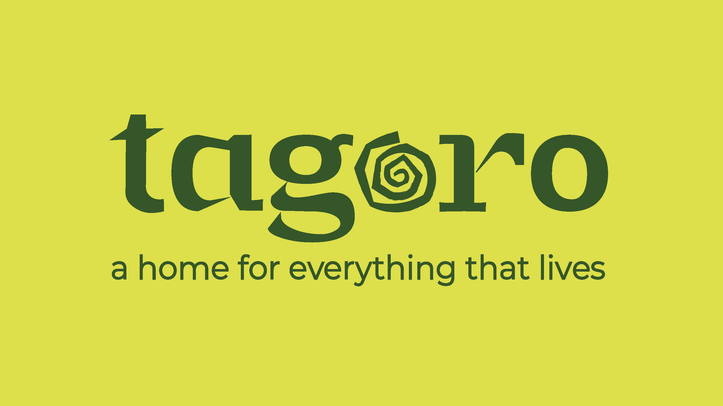 Tagoro hero image